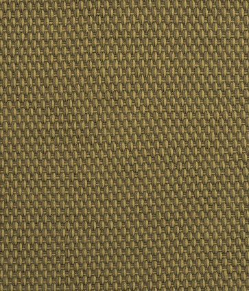 Килим Lace Thyme Pine